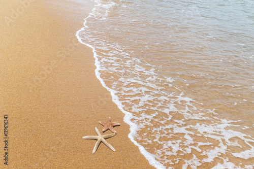 starfishs and shells on tropical beach