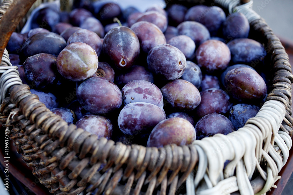 Obraz premium Ripe organic plums (Blackthorns) 