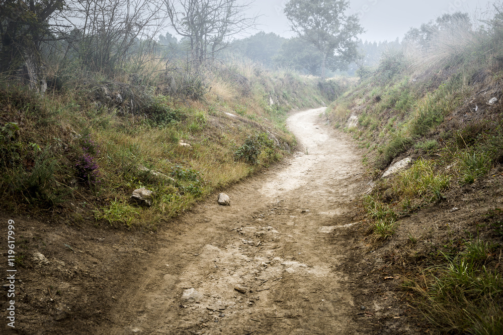 a pedestrian rural path at dawn in the countryside on a foggy day 