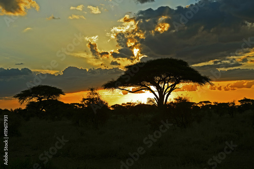 African savanna in Kenya