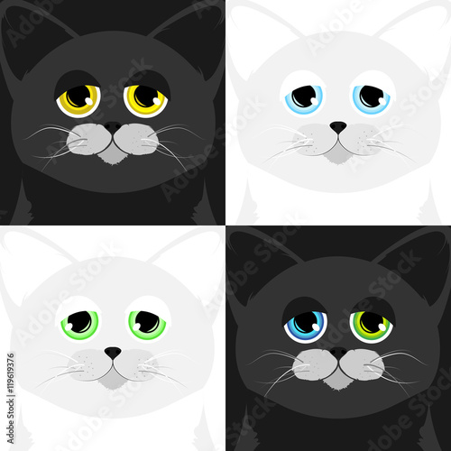 Four cats muzzle in a cartoon style