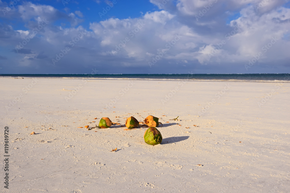 Picturesque coast Diani