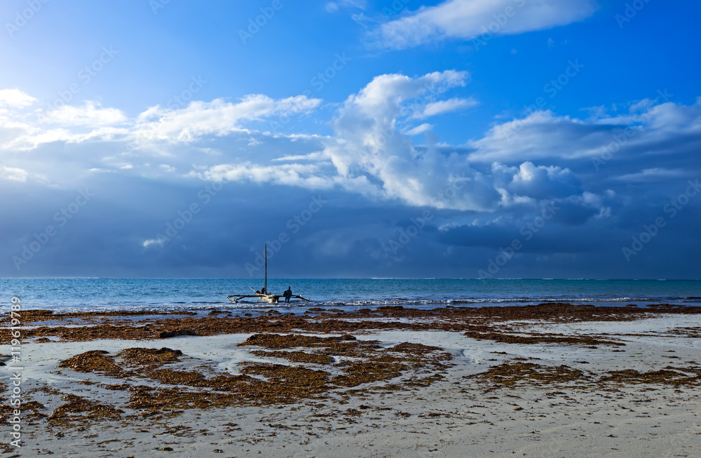 Fototapeta premium Picturesque coast Diani