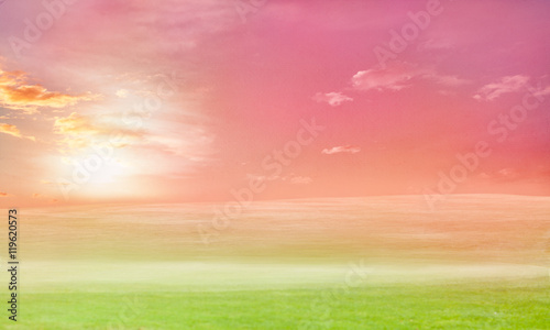 Beautiful meadow landscape with pink sky