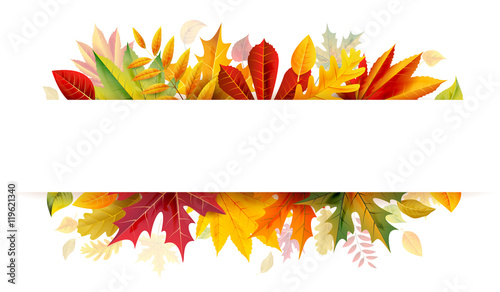 Autumn bunner