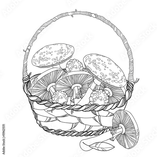 Wicker basket with Amanita or Fly agaric mushroom isolated on white. Outline poisonous red-cup mushroom in line art. Floral elements in contour style for autumn design and adult coloring book.