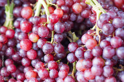 Closeup of bunches of red grapes