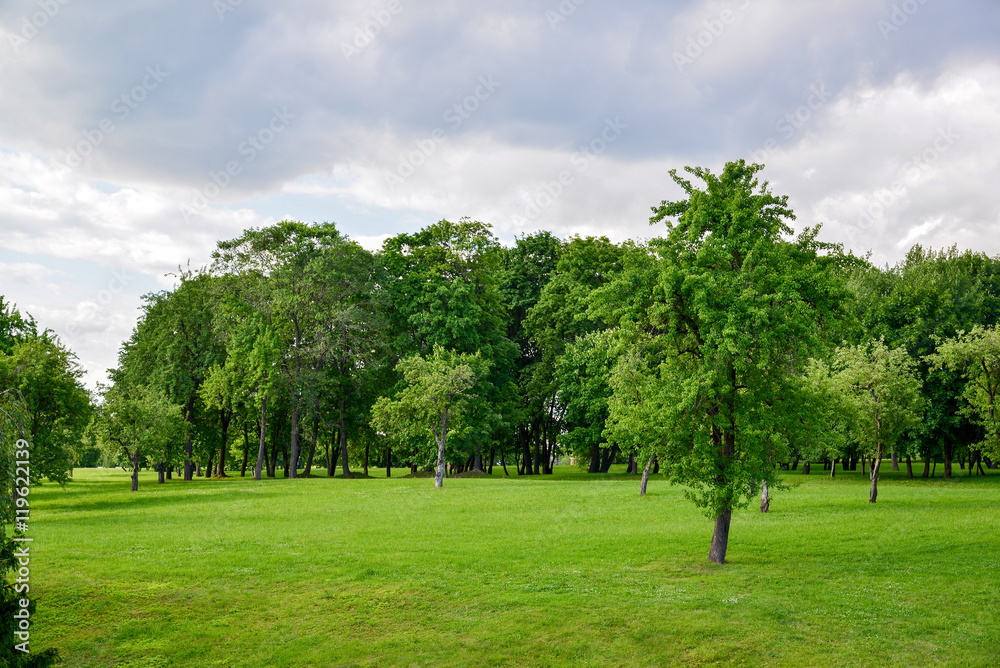 Tsaritsyno park in Moscow in summer, Russia Tsaritsyno park in Moscow in summer, Russia