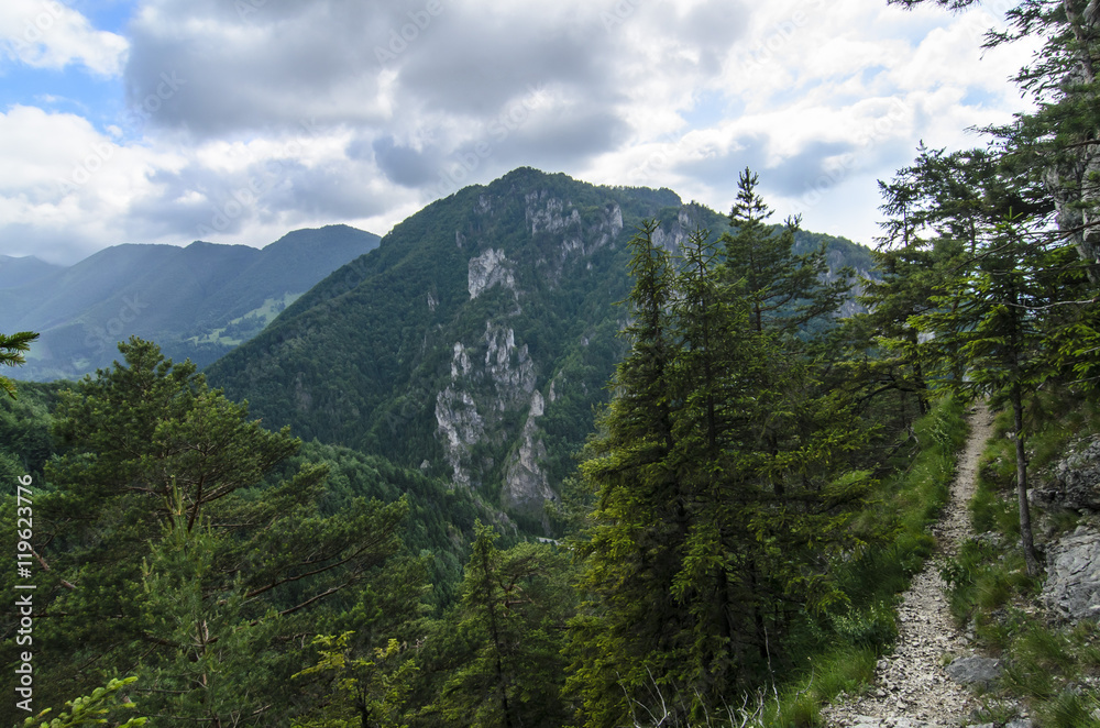 Mala Fatra mountain, Slovakia, Europe -View on hill in National Park Mala Fatra