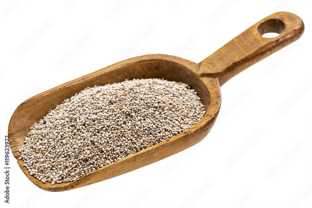 rustic scoop of white chia seeds rustic scoop of white chia seeds