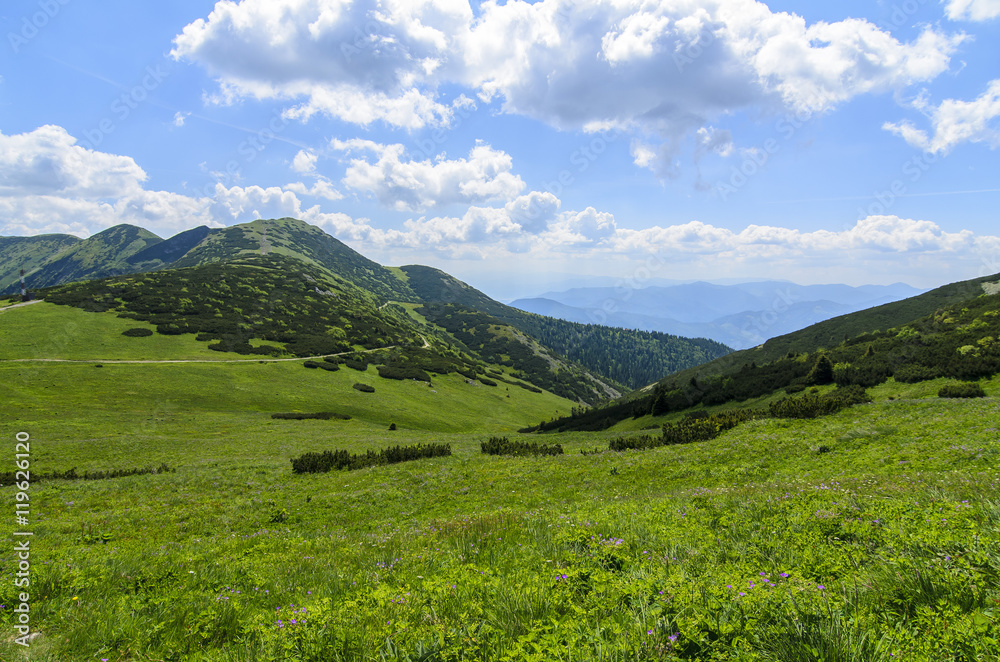 Mala Fatra mountain, Slovakia, Europe - View with green field in National park Mala Fatra