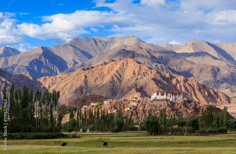 Stakna Monastery (Stakna Gompa), Leh Ladakh,  Jammu and Kashmir,