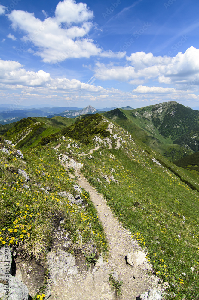 Mala Fatra mountain, Slovakia, Europe - Walking path in National park Mala Fatra
