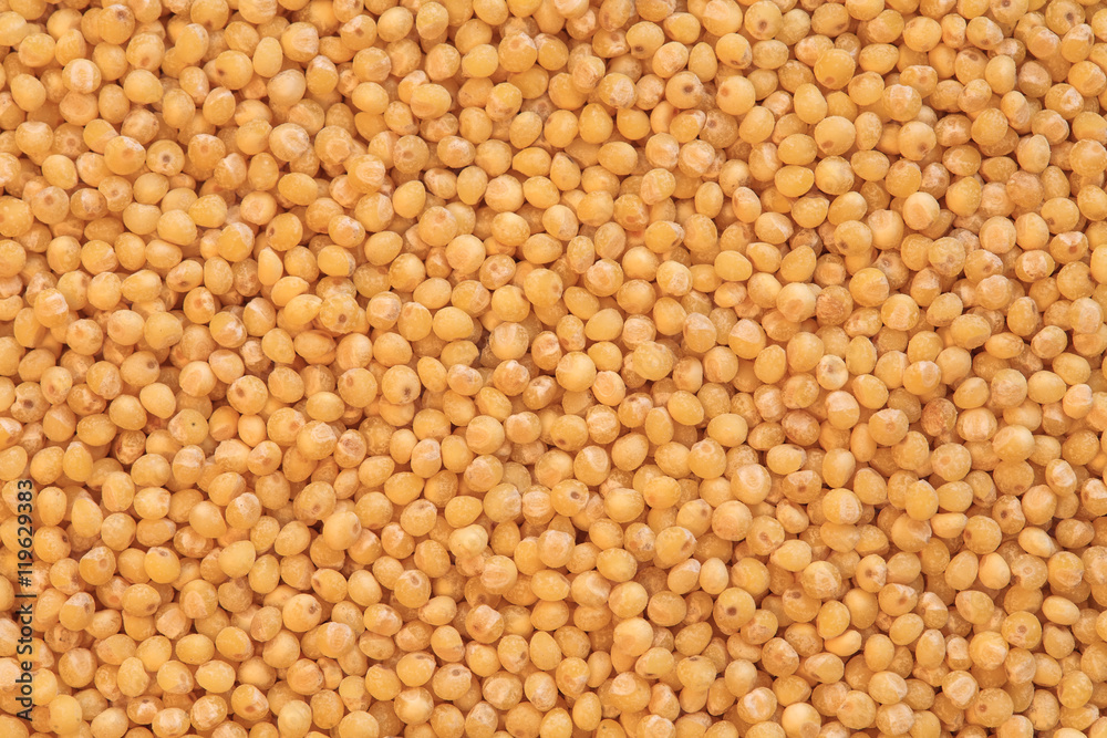millet groats photo, dry millet, raw millet, millet background, macro millet, yellow millet, health food millet groats photo, dry millet, raw millet, millet background, macro millet, yellow millet, health food