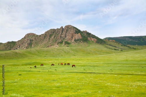  Gorkhi-Terelj National Park at Ulaanbaatar , Mongolia