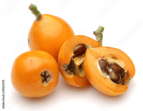 Loquat