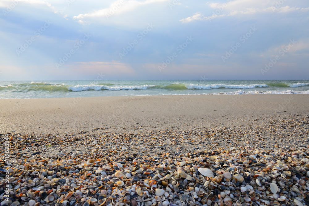 morning beach