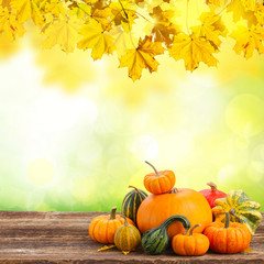 pumpkin on table