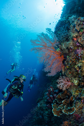 Wallpaper Mural Divers Torontodigital.ca