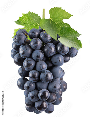 purple grapes isolated on the white background