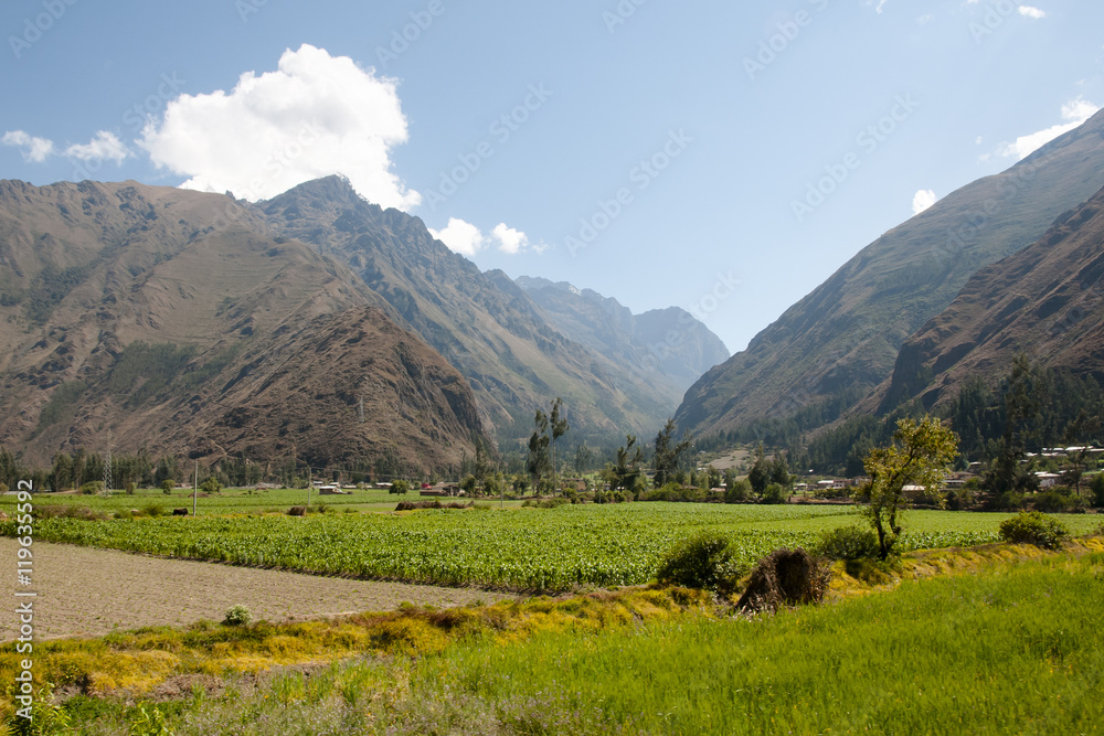 Corn Plantations - Urubamba Valley - Peru