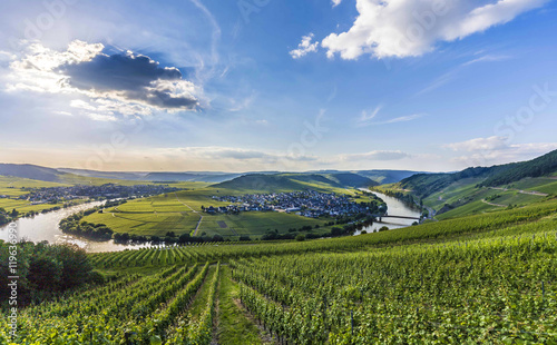 famous Moselle river loop in Trittenheim