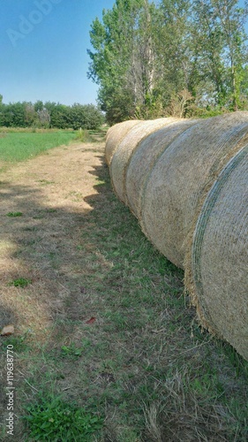 stradina di campagna photo