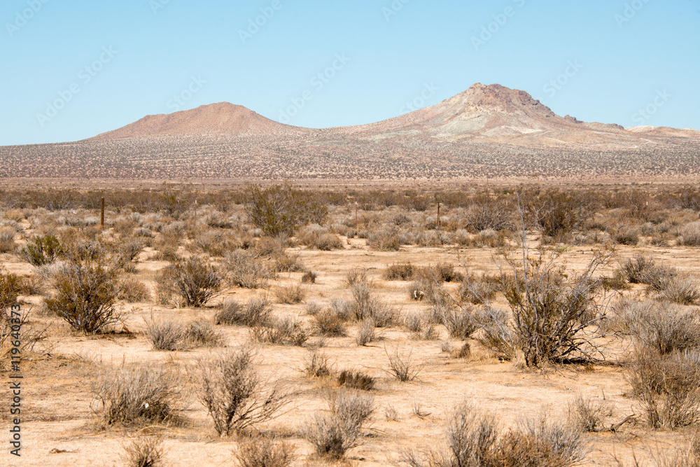 Fototapeta premium Mojave Desert