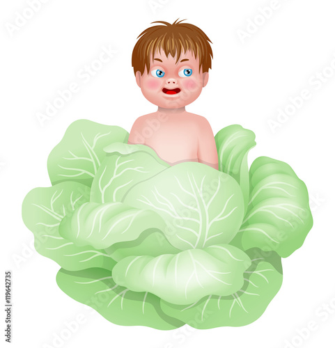 Illustration of a little baby in a cabbage head. Isolated on whi