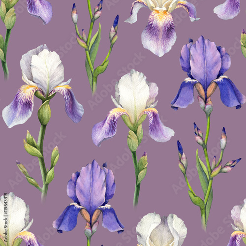 Fototapeta Naklejka Na Ścianę i Meble -  Watercolor iris flower illustrations. Seamless pattern