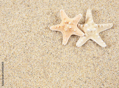 starfish in the beach sand - copy space