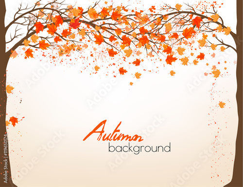 Autumn background with a tree and colorful leaves. Vector.