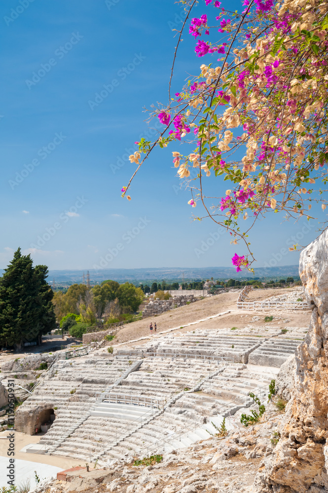 The famous greek theater of Syracuse, Sicily, with a flowered bougainvillea plant in the foreground