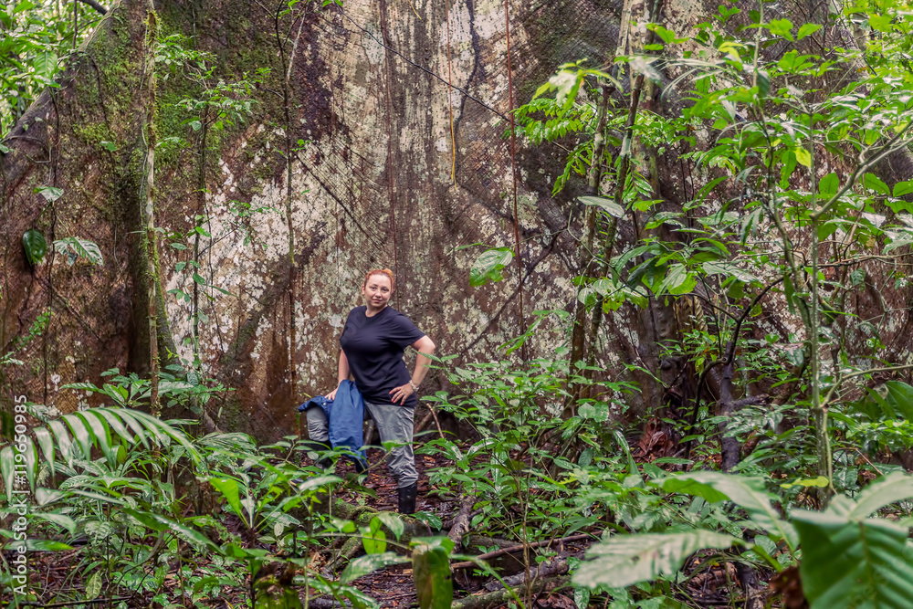 Biologist Woman Standing Next To A Kapok Tree Biologist Woman Standing Next To A Kapok Tree