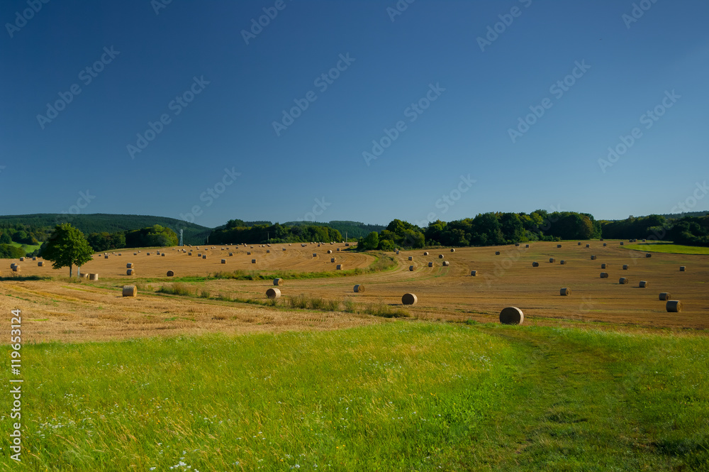 Straw bales on a wheat field. South Moravia, Czech Republic.