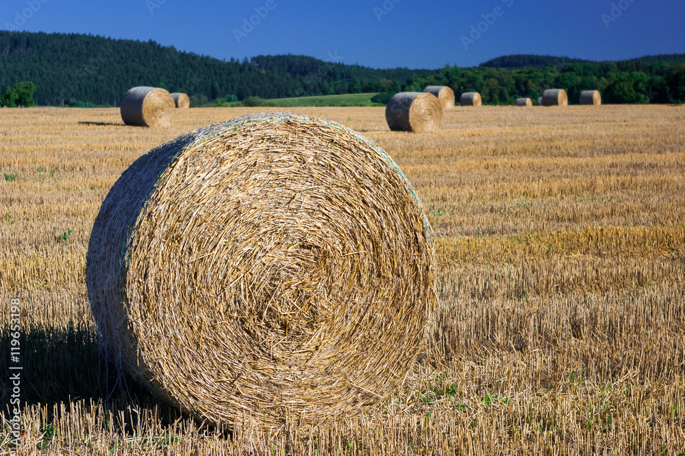 Straw bales on a wheat field. South Moravia, Czech Republic.