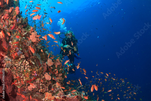 Scuba dive. Coral Reef. Tropical fish. Underwater sea ocean