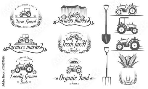 A set of logos,labels, stamps, badges for organic food. Vector i