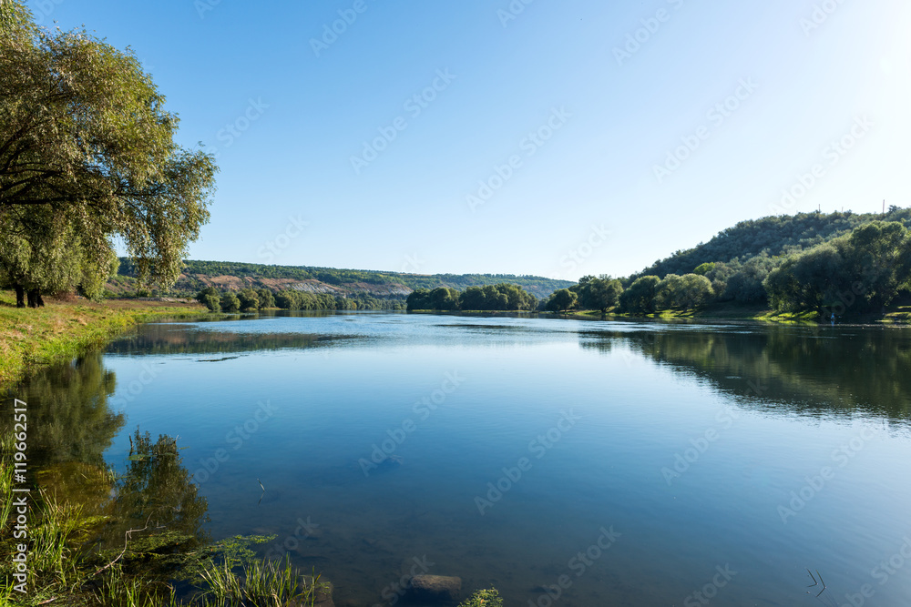 summer landscape