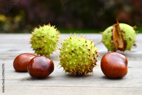 Chestnuts. Fresh chestnuts on old wood background. 