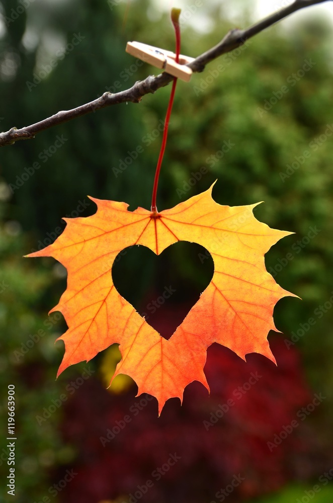 Autumn Heart