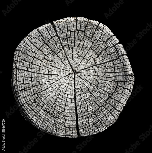 Verwitterte Holzscheibe