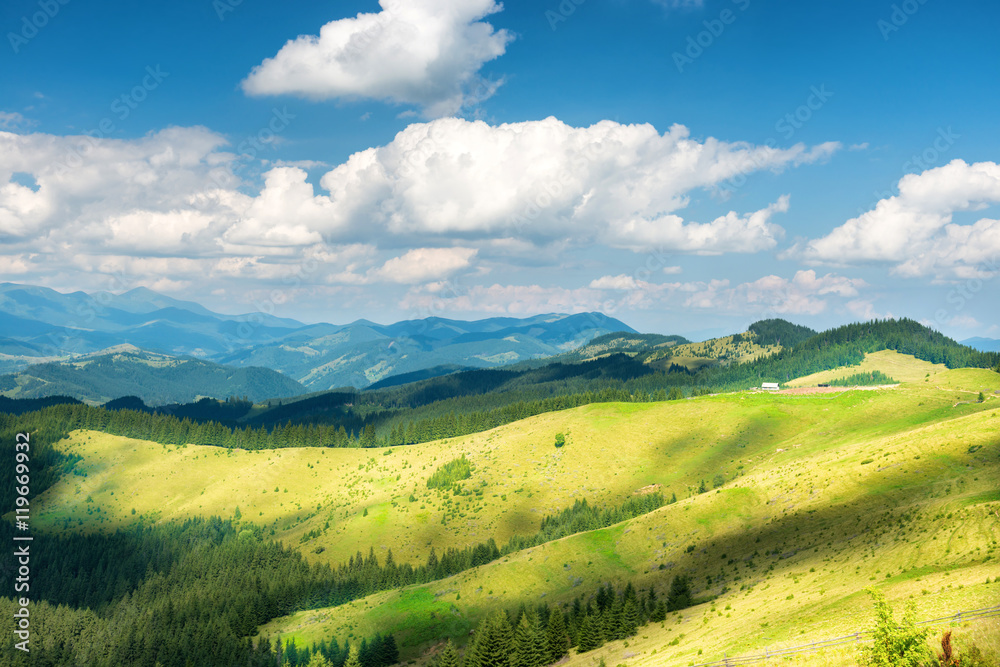 Green sunny valley in mountains