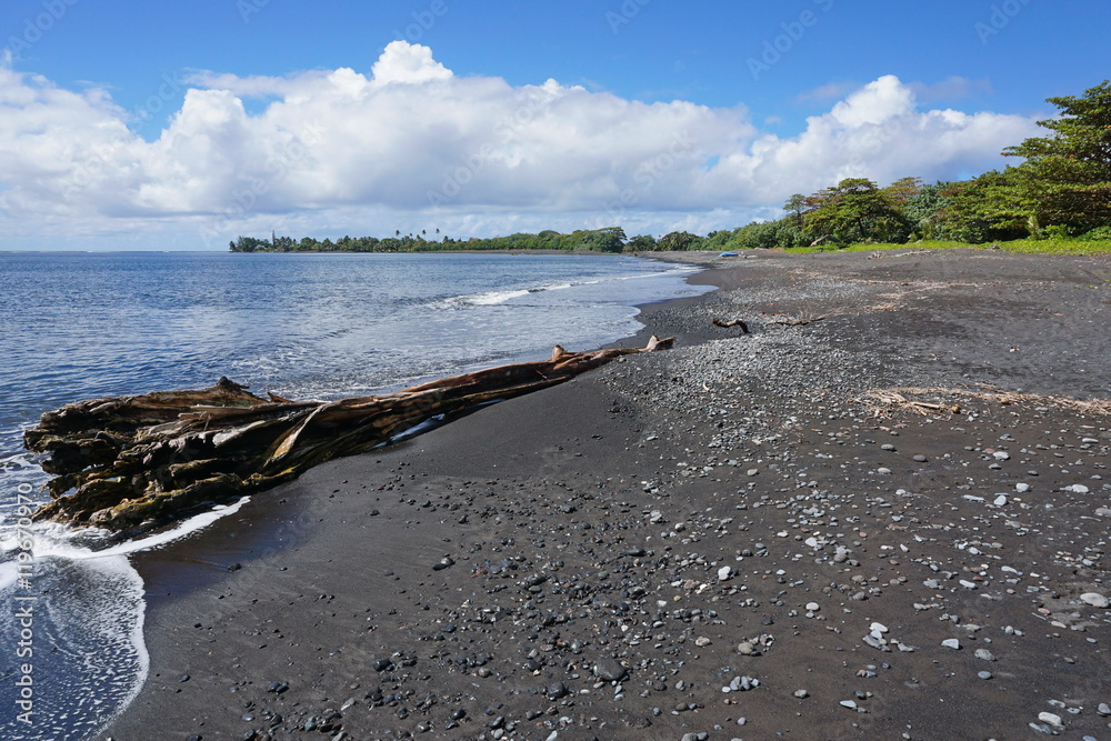Black sand beach with a driftwood trunk near Tautira village, Tahiti Iti island, French Polynesia, south Pacific ocean
