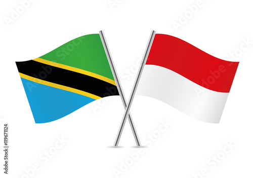 Free Download Tanzania and Indonesia flags. Vector illustration. - GFXLoad