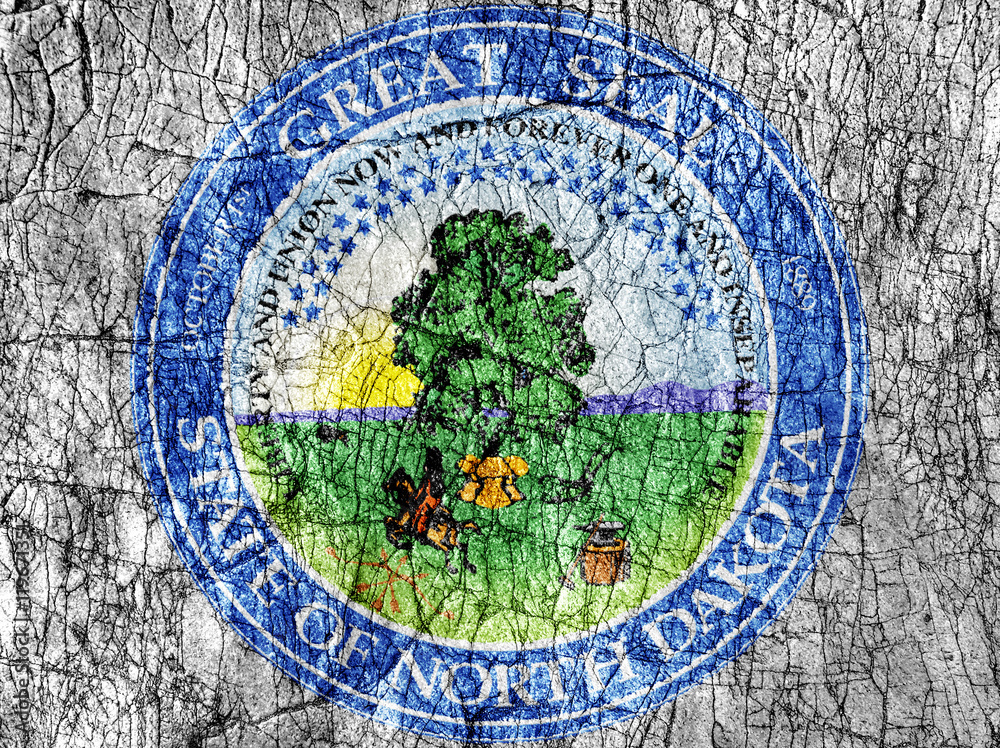Grudge stone painted US North Dakota seal flag