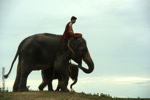 Young elephant with man