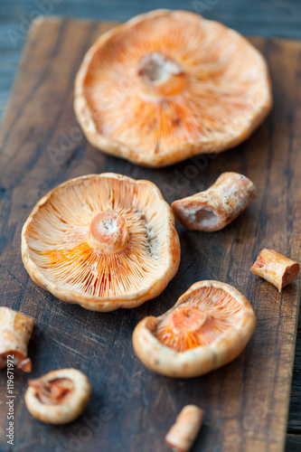 Saffron Milk Cap mushrooms