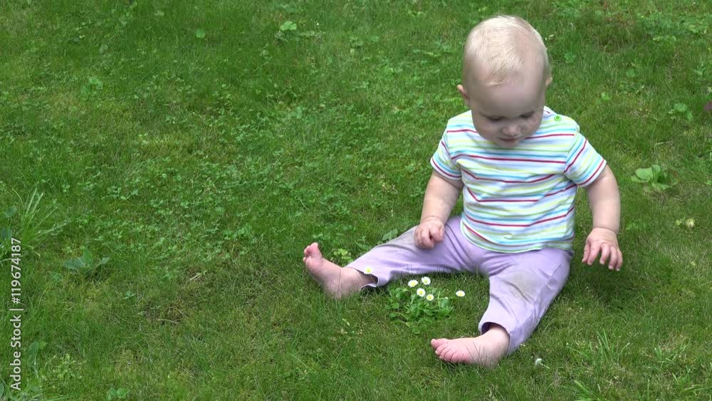 Cute baby explore daisy flowers sitting on lawn. New discoveries. 4K Cute baby explore daisy flowers sitting on lawn. New discoveries. 4K