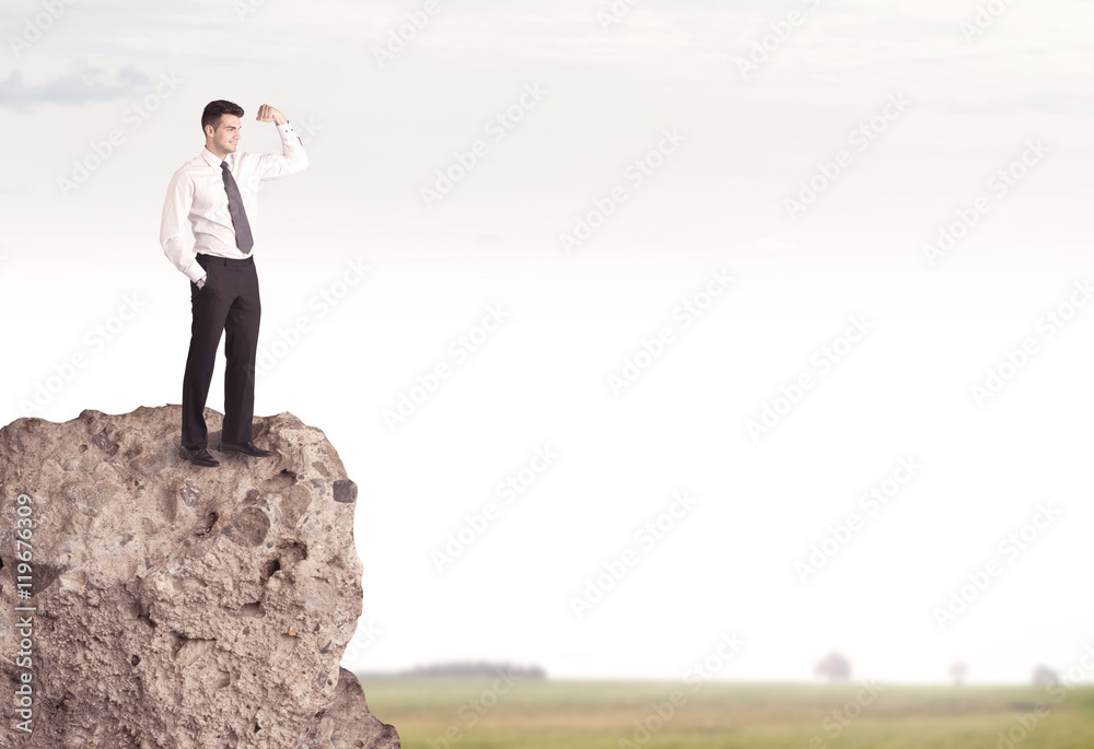 Happy salesman on cliff in the country